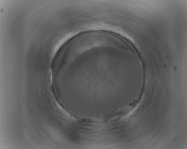 X0000066541509200603311832