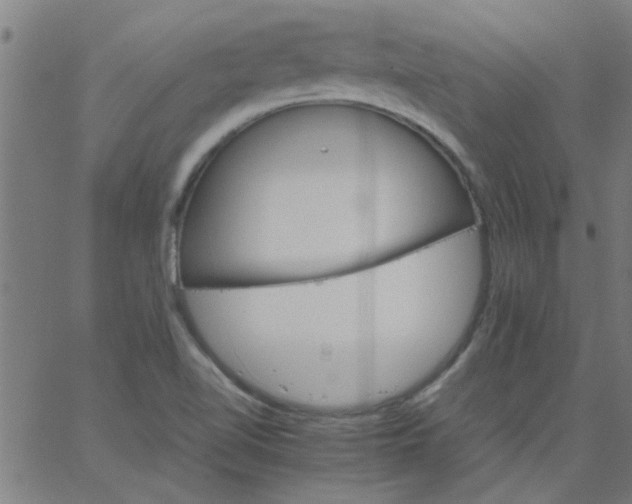 X0000066541510200603311832