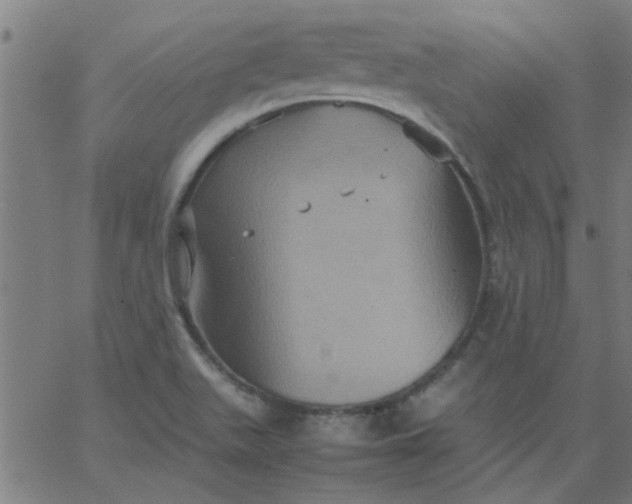 X0000066541511200603311832