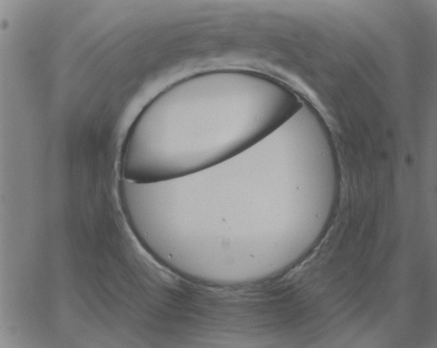 X0000066541512200603311832