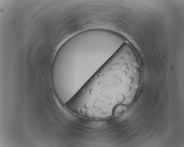 X0000066541513200603311832