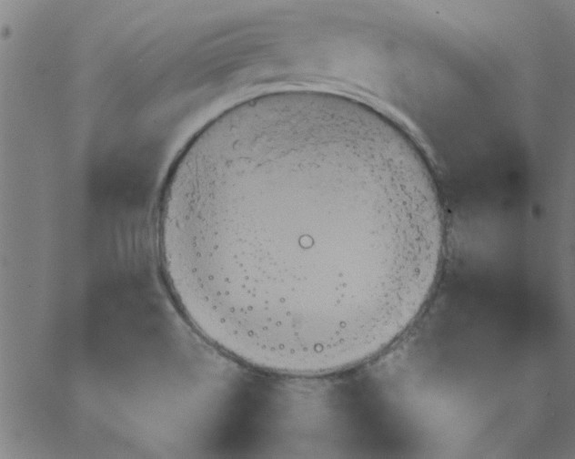 X0000066541514200603311832