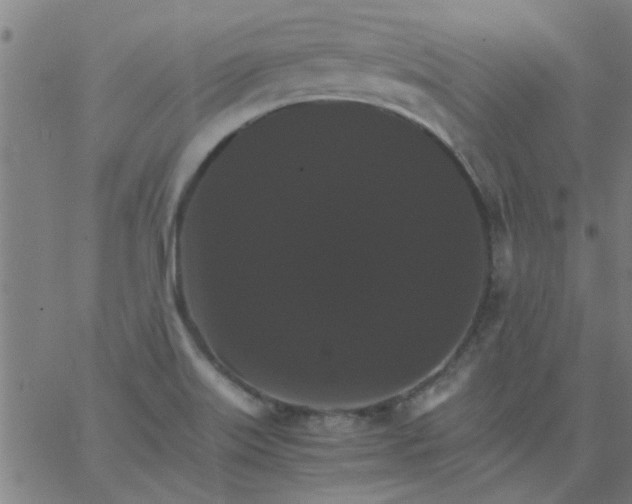 X0000066541515200603311832