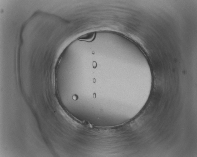 X0000066541516200603311832