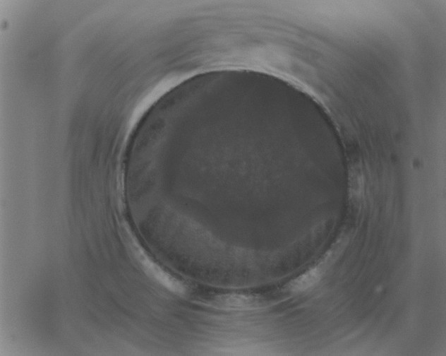 X0000066541517200603311832