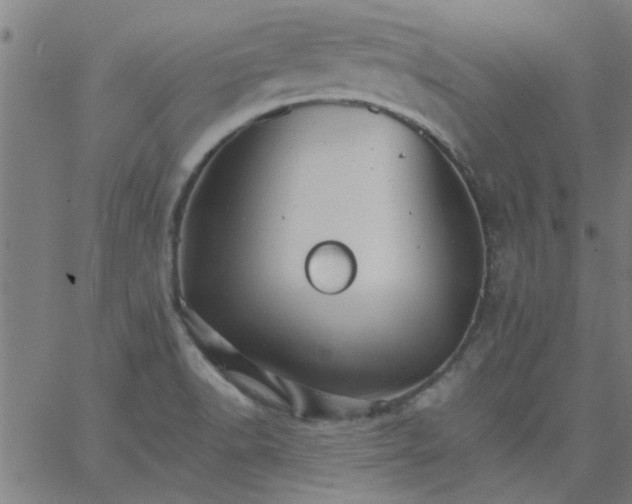 X0000066541518200603311832