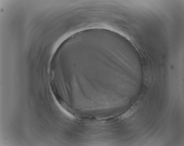 X0000066541519200603311832