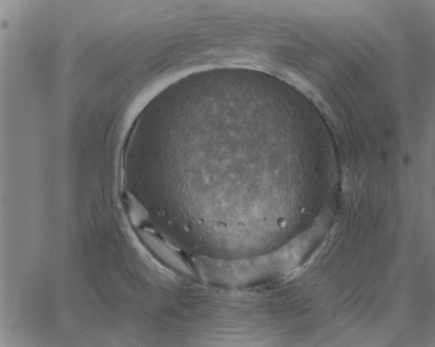 X0000066541520200603311832