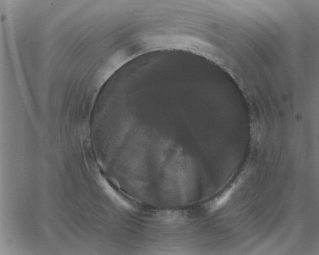 X0000066541521200603311832