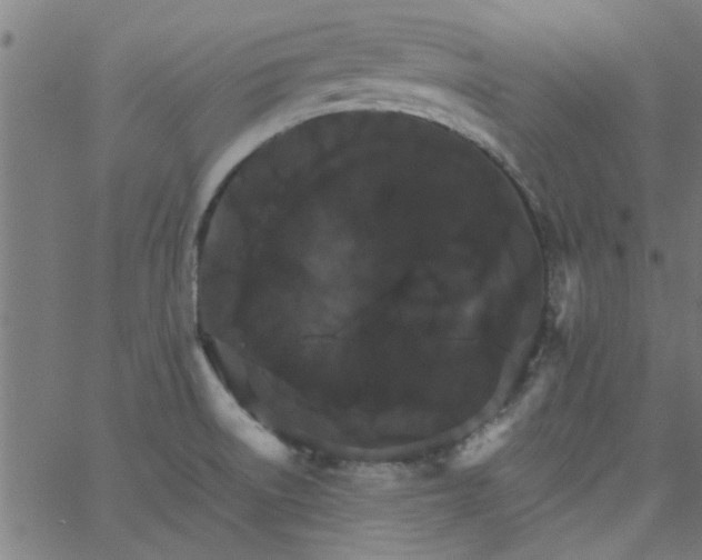 X0000066541522200603311832