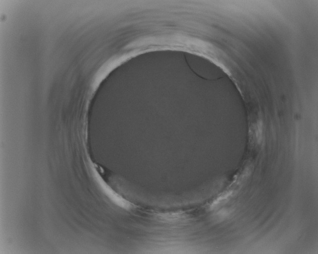 X0000066541523200603311832