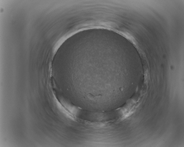 X0000066541524200603311832