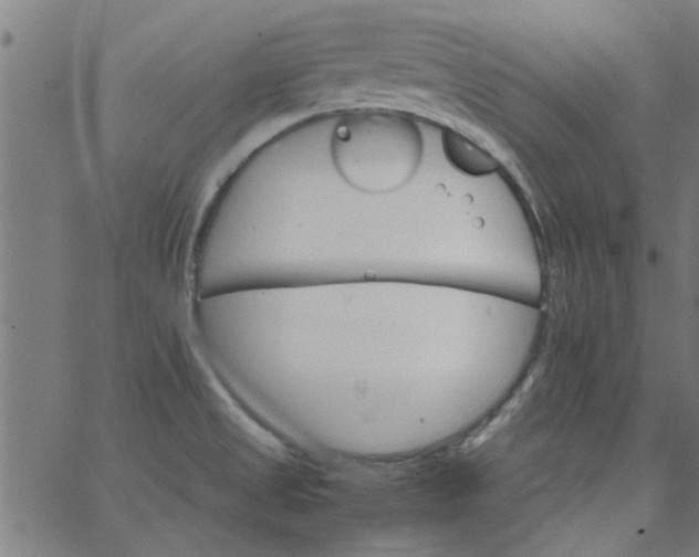 X0000066541525200603311832