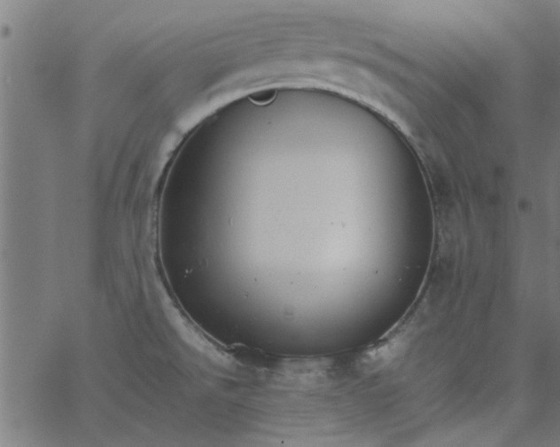 X0000066541526200603311832