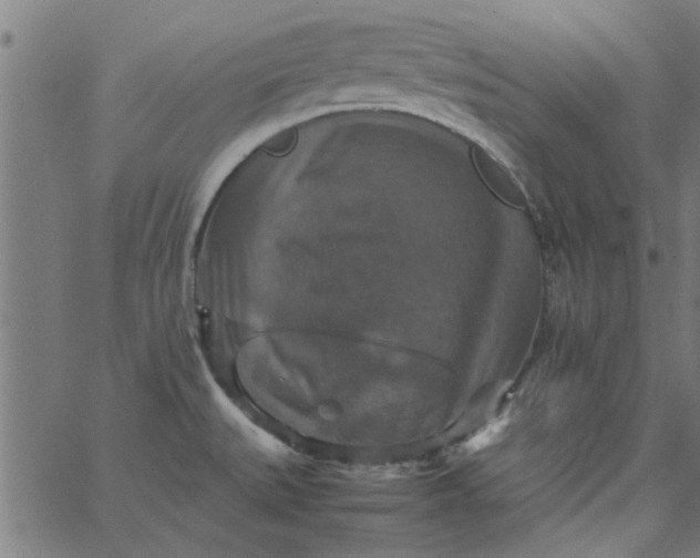 X0000066541527200603311832