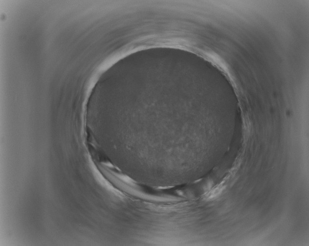 X0000066541528200603311832