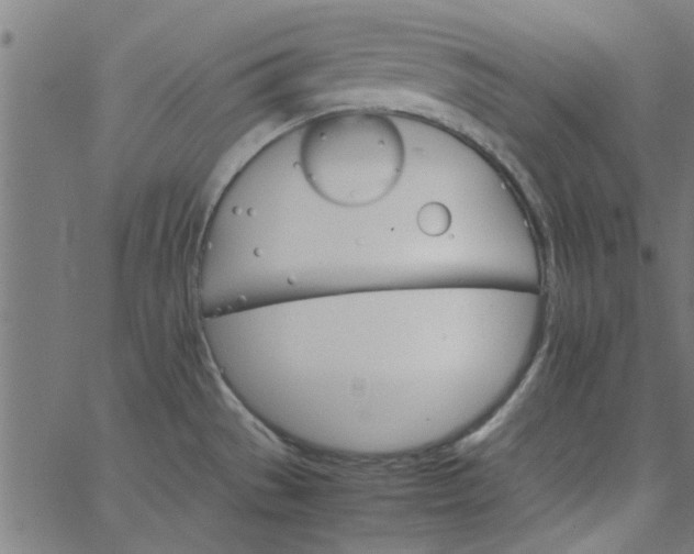 X0000066541529200603311832