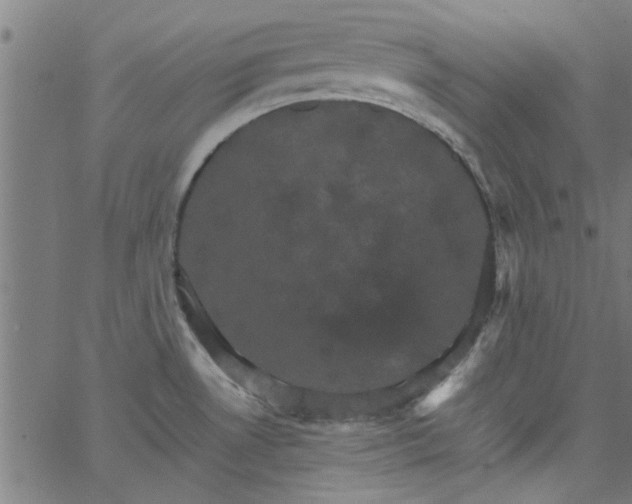 X0000066541530200603311832