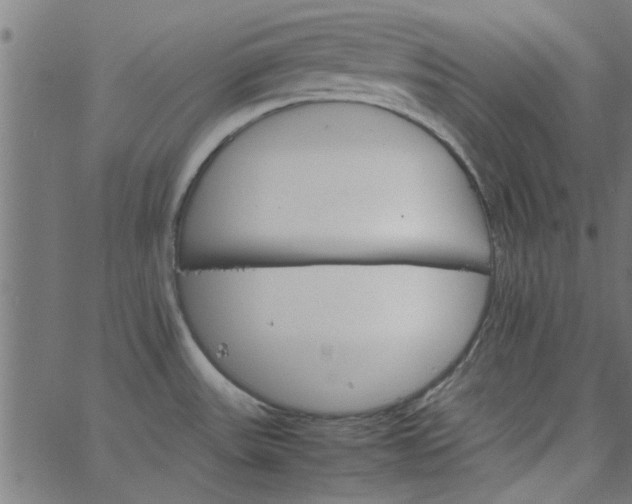 X0000066541531200603311832