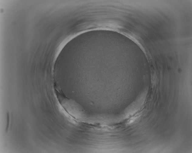 X0000066541532200603311832