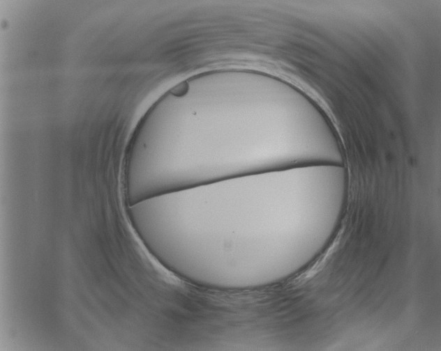 X0000066541533200603311832