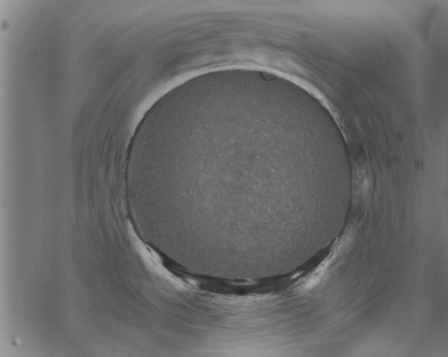 X0000066541534200603311832