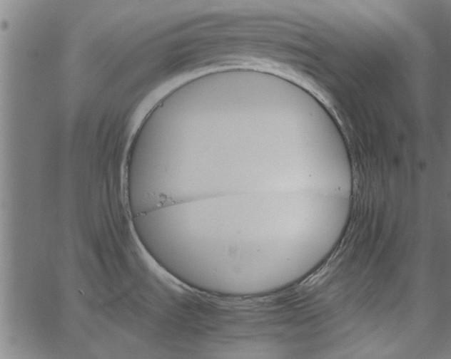 X0000066541535200603311832