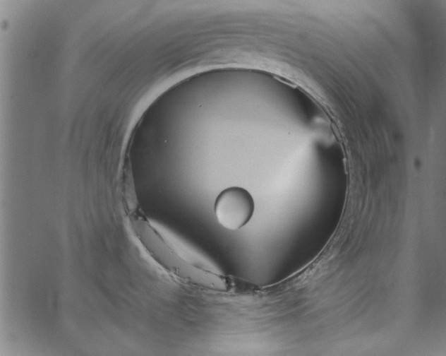 X0000066541536200603311832