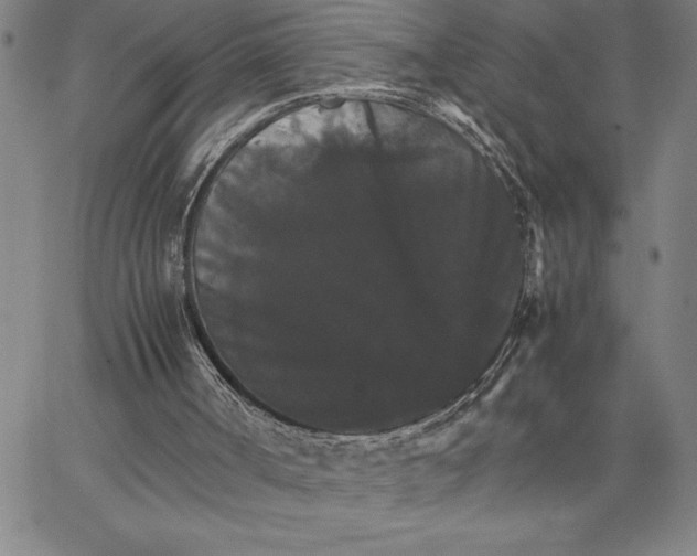 X0000066540002200604071653