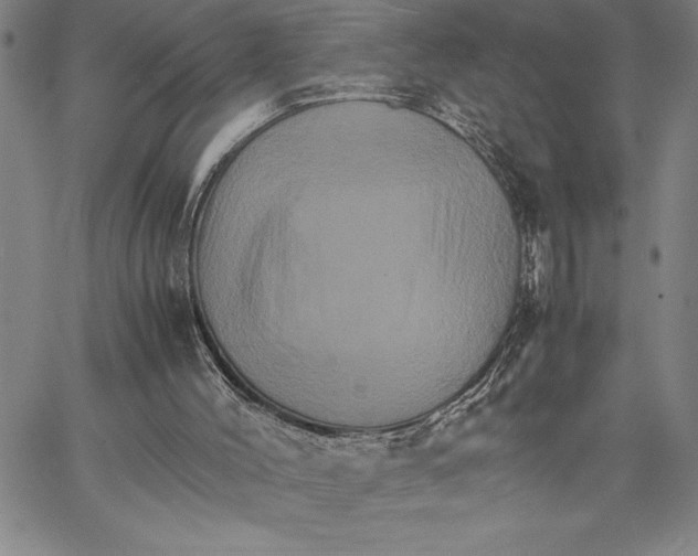 X0000066540004200604071653
