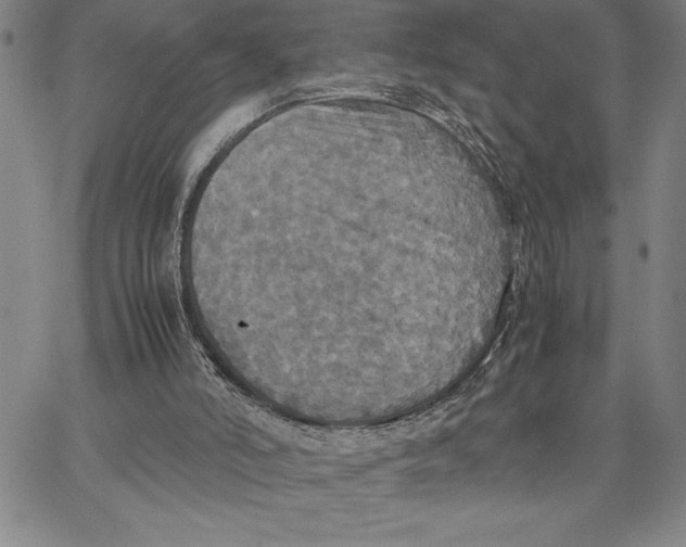 X0000066540006200604071653