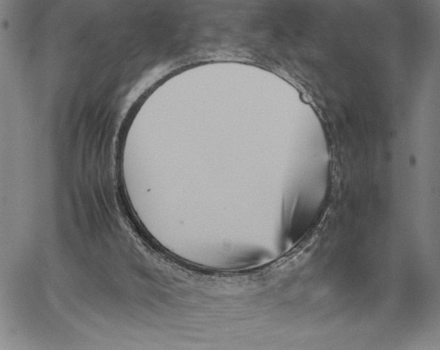 X0000066540008200604071653