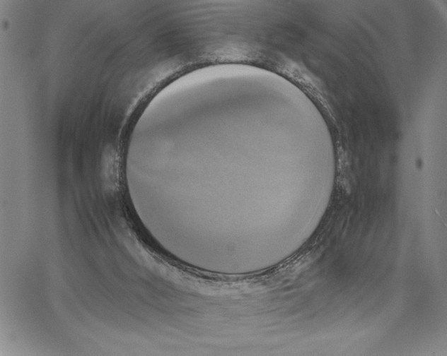 X0000066540012200604071653