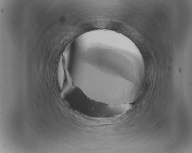 X0000066540031200604071653