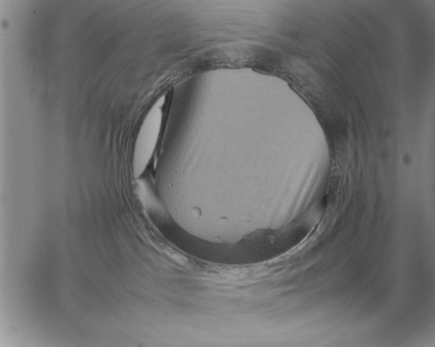 X0000066540045200604071653