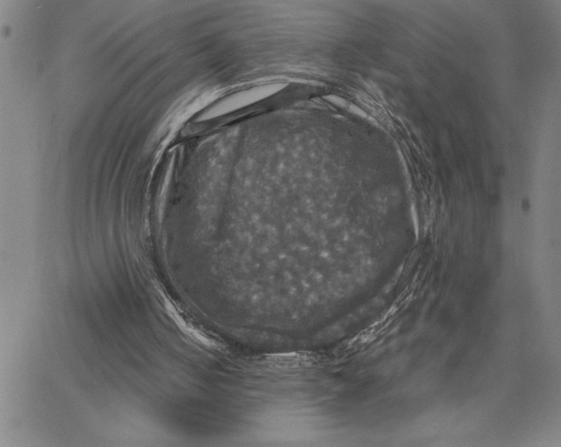 X0000066540050200604071652