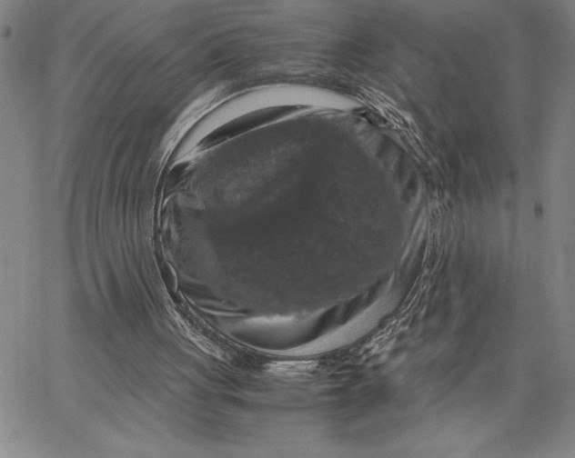 X0000066540051200604071652