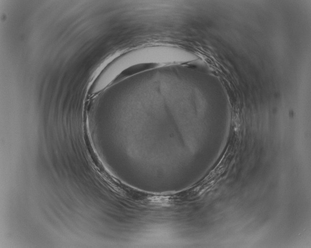 X0000066540052200604071652