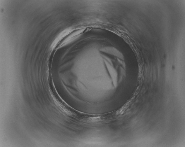 X0000066540054200604071652