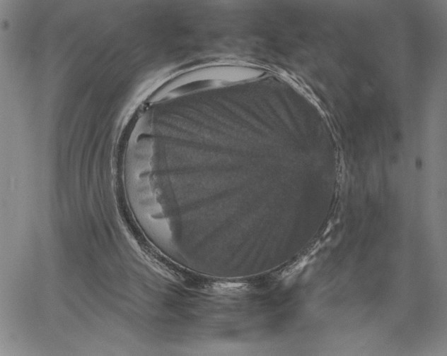 X0000066540055200604071652