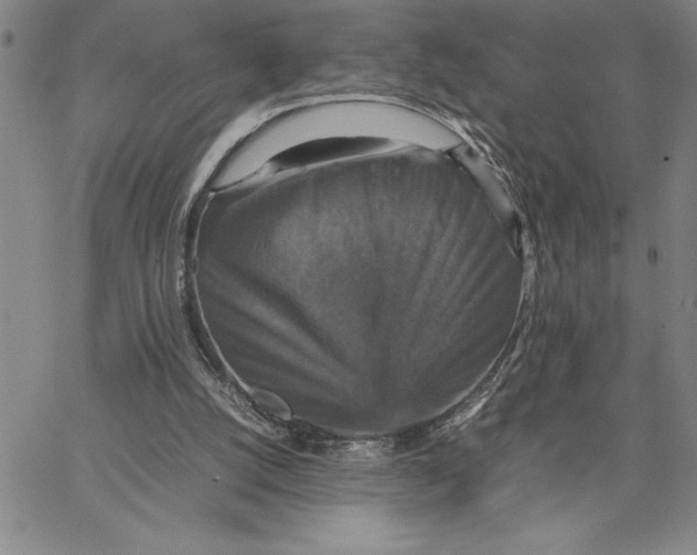 X0000066540056200604071652