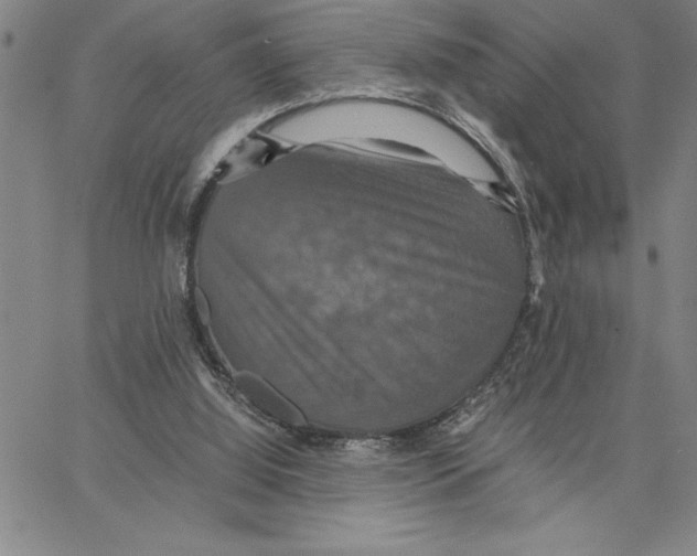 X0000066540060200604071652