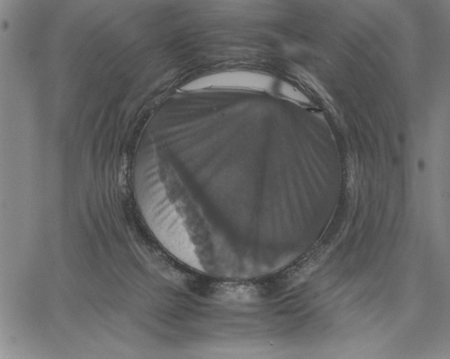 X0000066540073200604071652