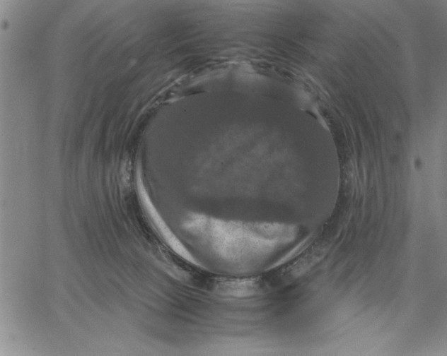 X0000066540081200604071652