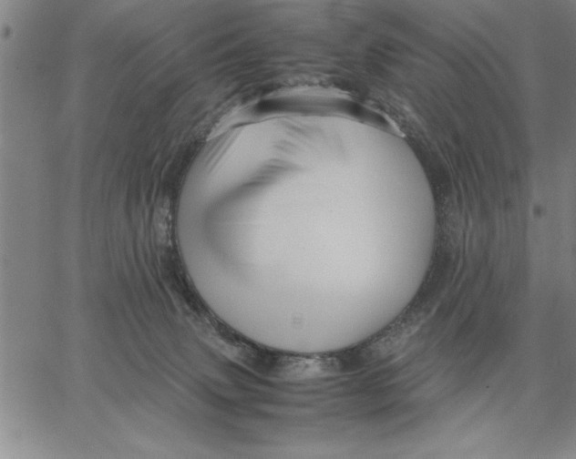 X0000066540083200604071652