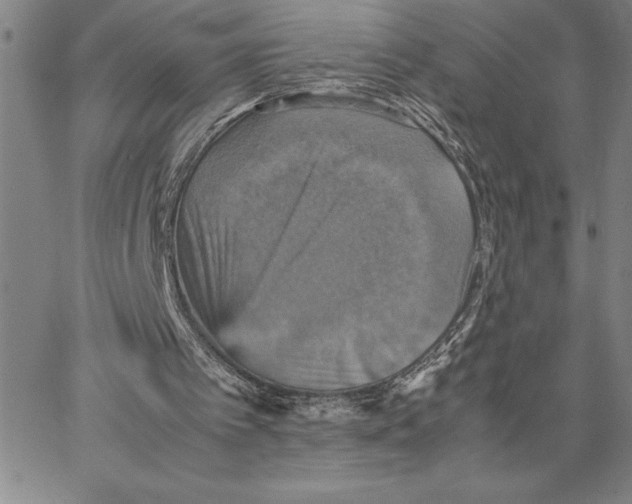 X0000066540097200604071652