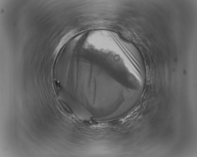 X0000066540099200604071652