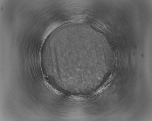 X0000066540100200604071652