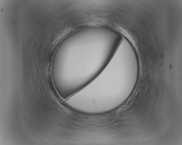 X0000066540105200604071652
