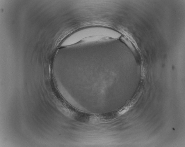 X0000066540109200604071652
